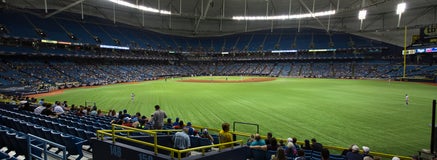 Seat view from Outfield Box