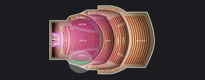 Seat view from Orchestra Box