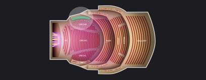 Seat view from Orchestra Box