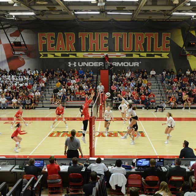 Cheap Maryland Women's Volleyball Tickets Gametime
