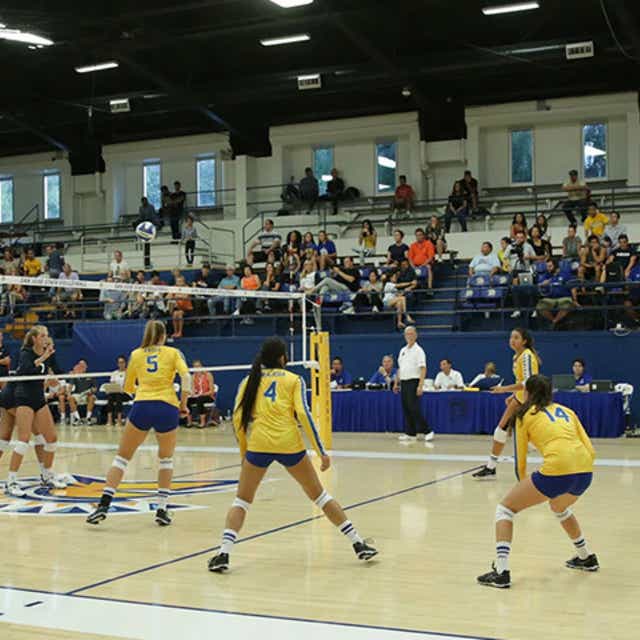 San Jose State Volleyball Schedule 2024 Schedule Fidela Crystie san-jose-state-volleyball-schedule-2024-schedule-fidela-crystie