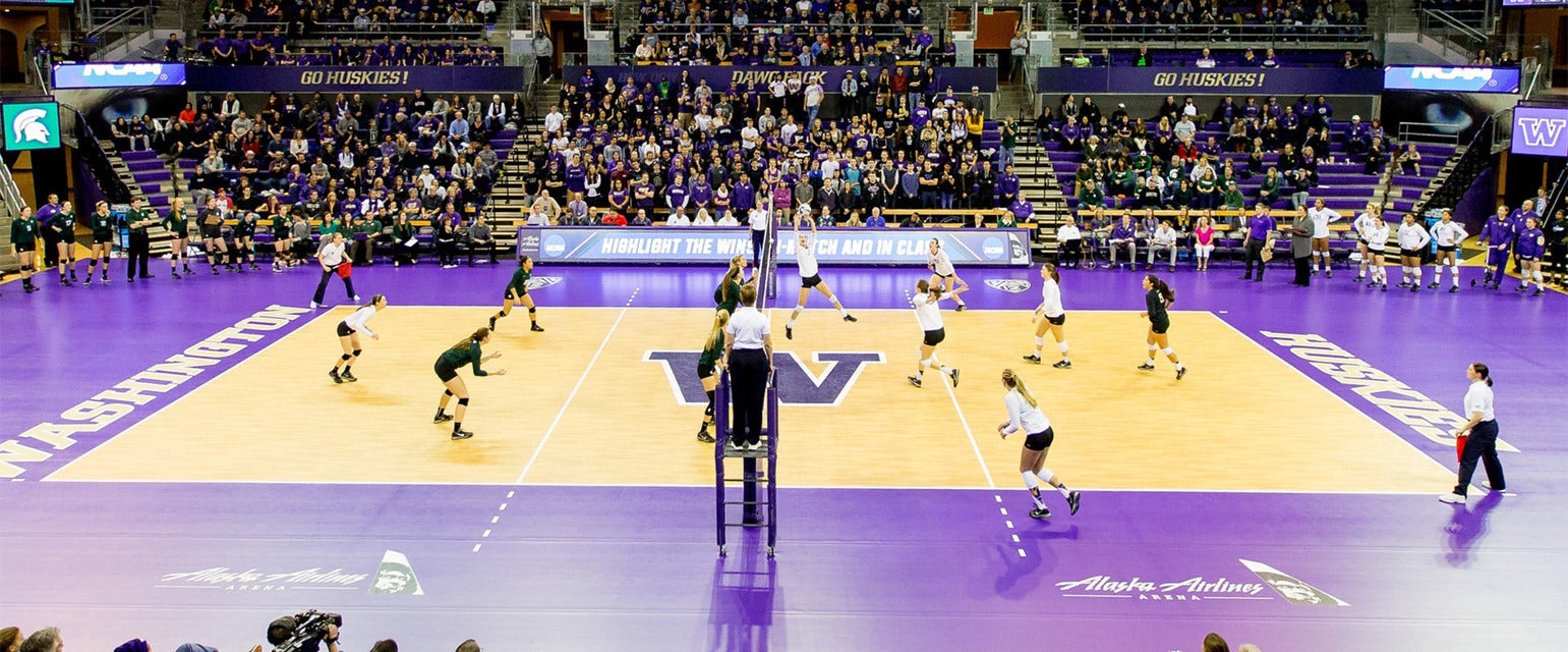 Cheap Washington Women's Volleyball Tickets Gametime