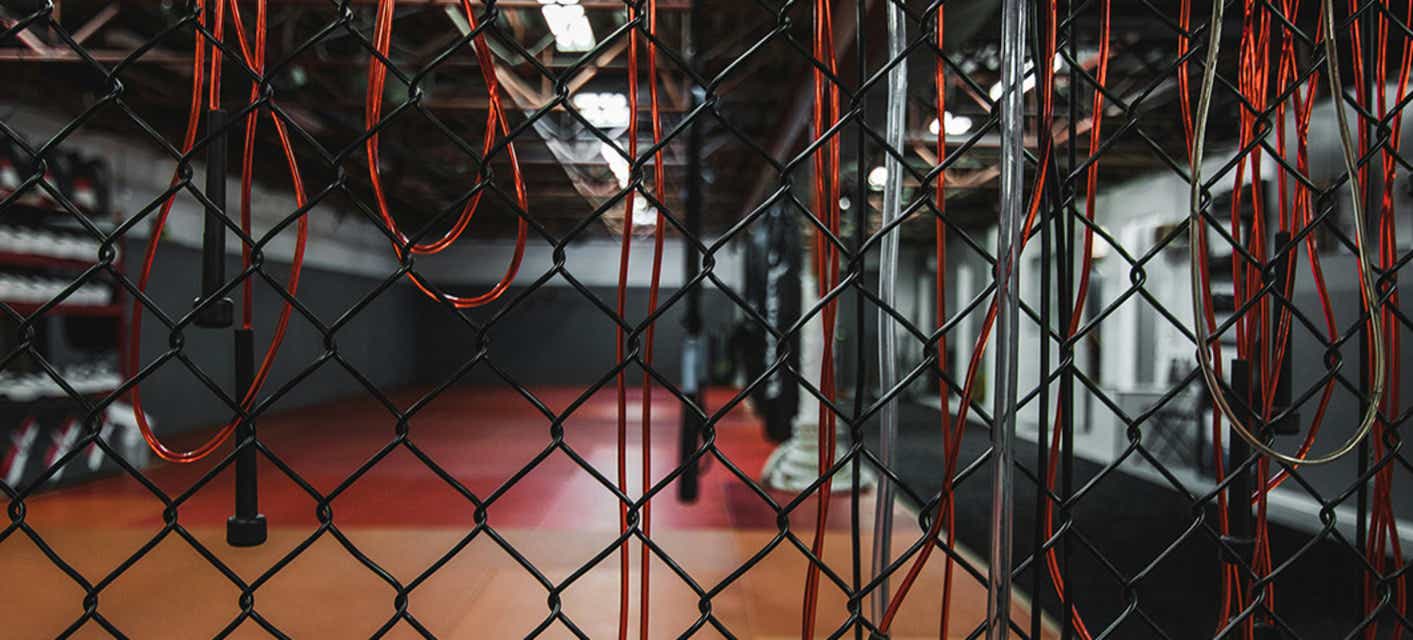 Combat Zone Wrestling